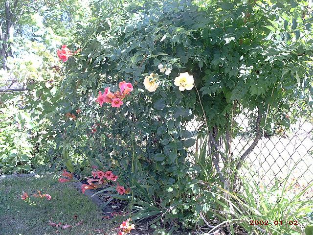 Picture 273.jpg